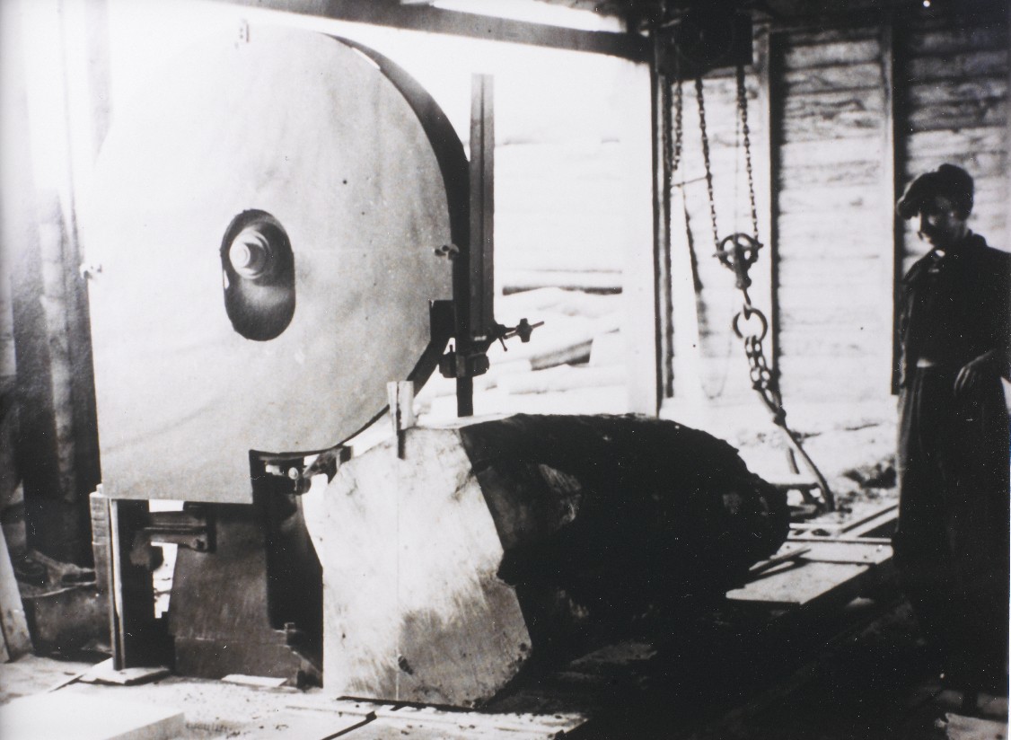 Vintage - Palmer Timber