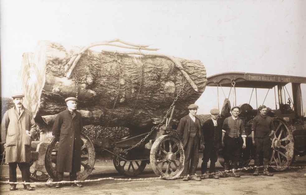 Vintage - Palmer Timber