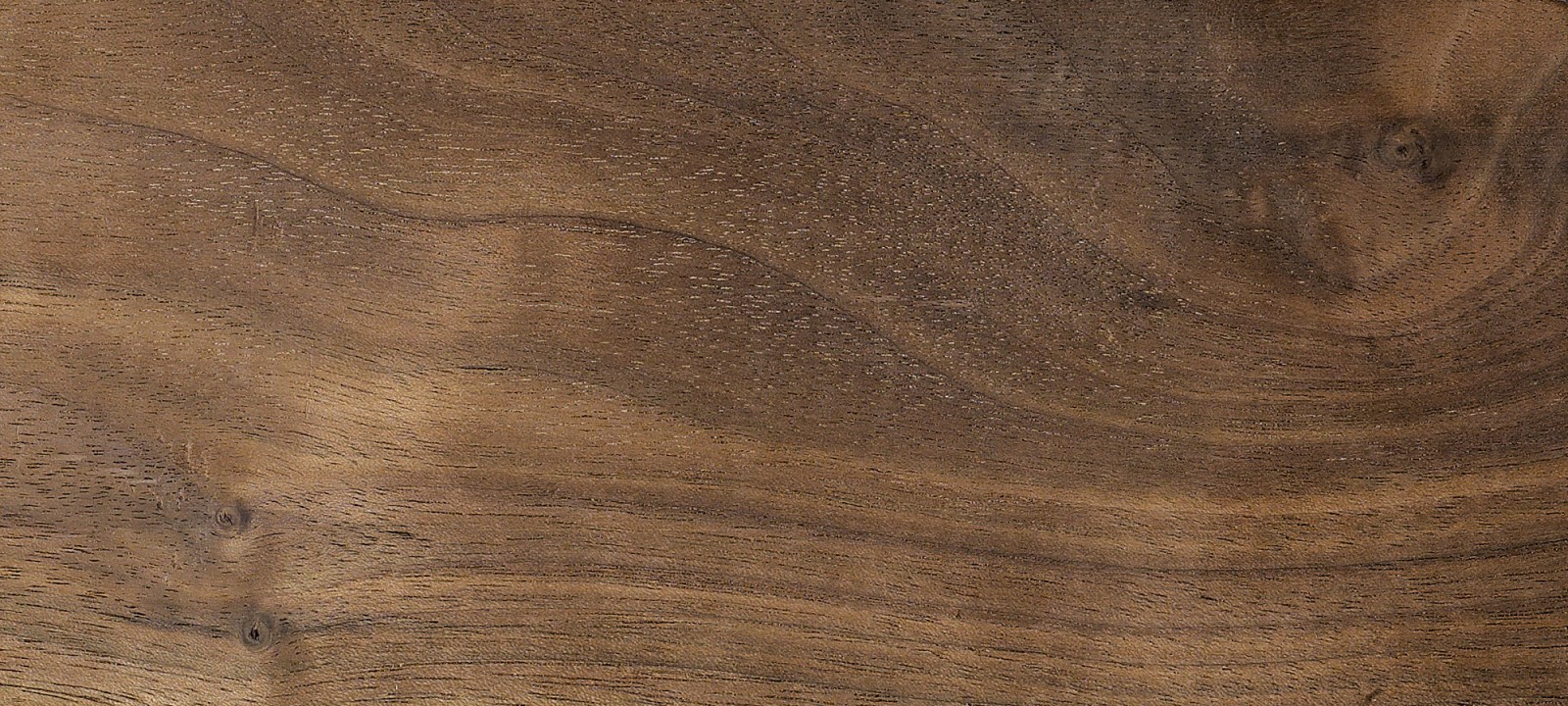 American Black Walnut
