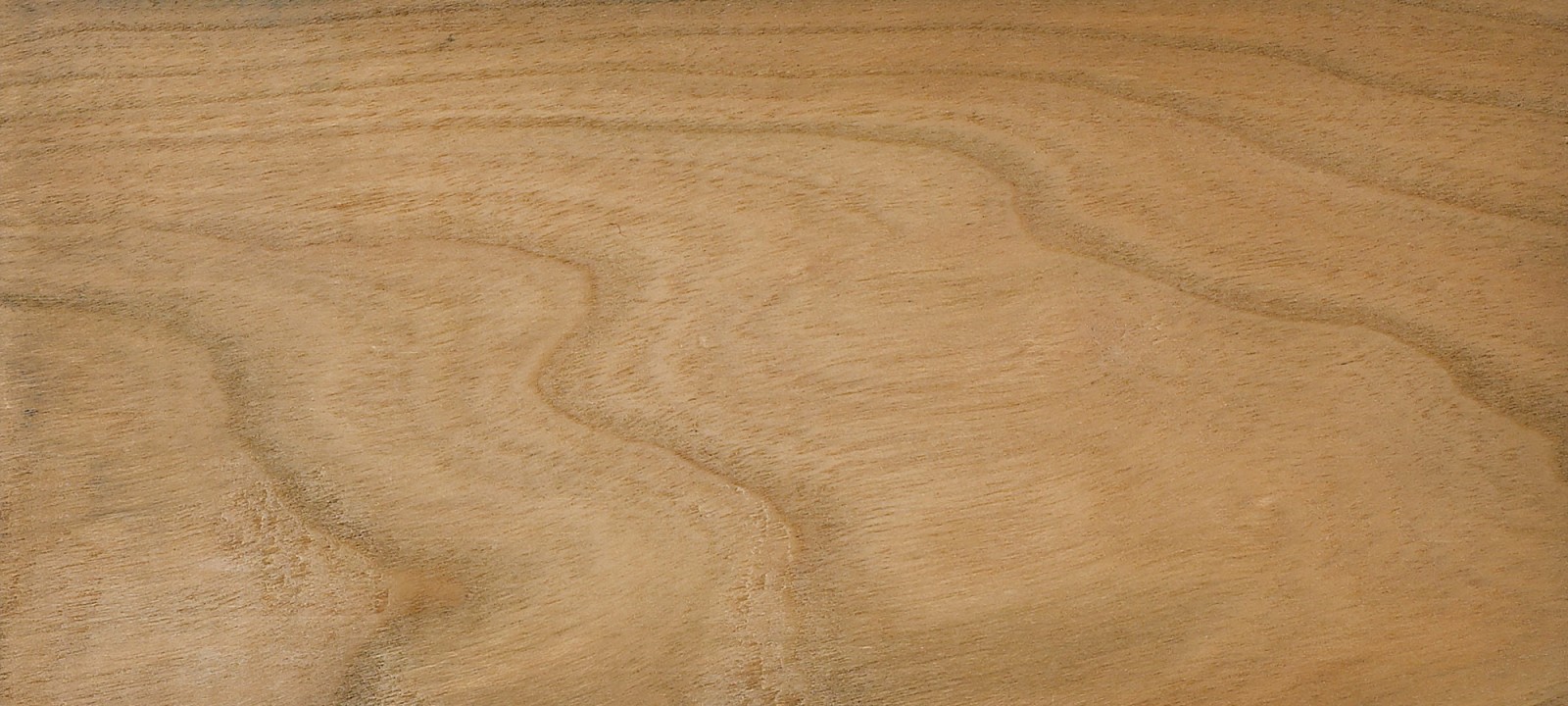 American Cherry