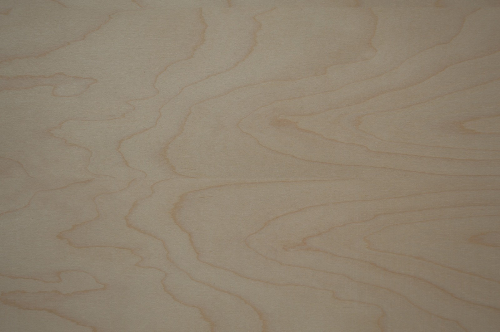 Birch Unfinished