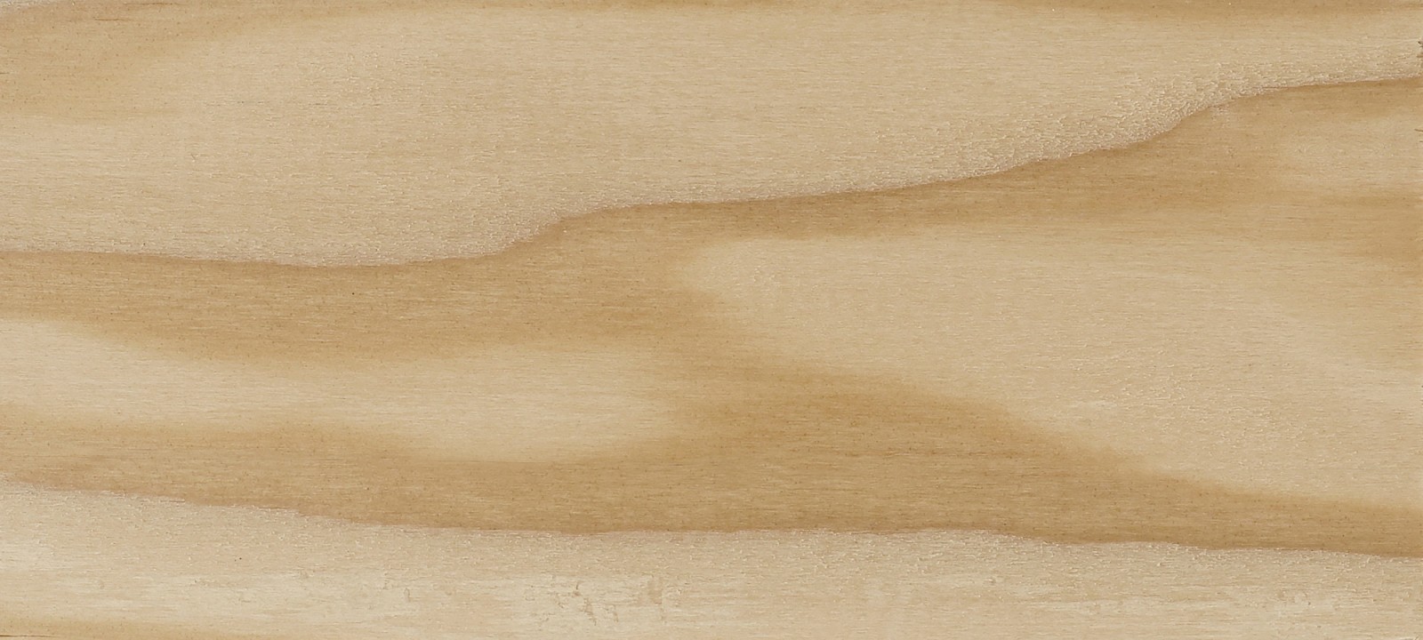 Douglas Fir