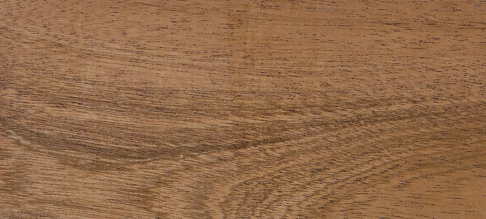 Sapele