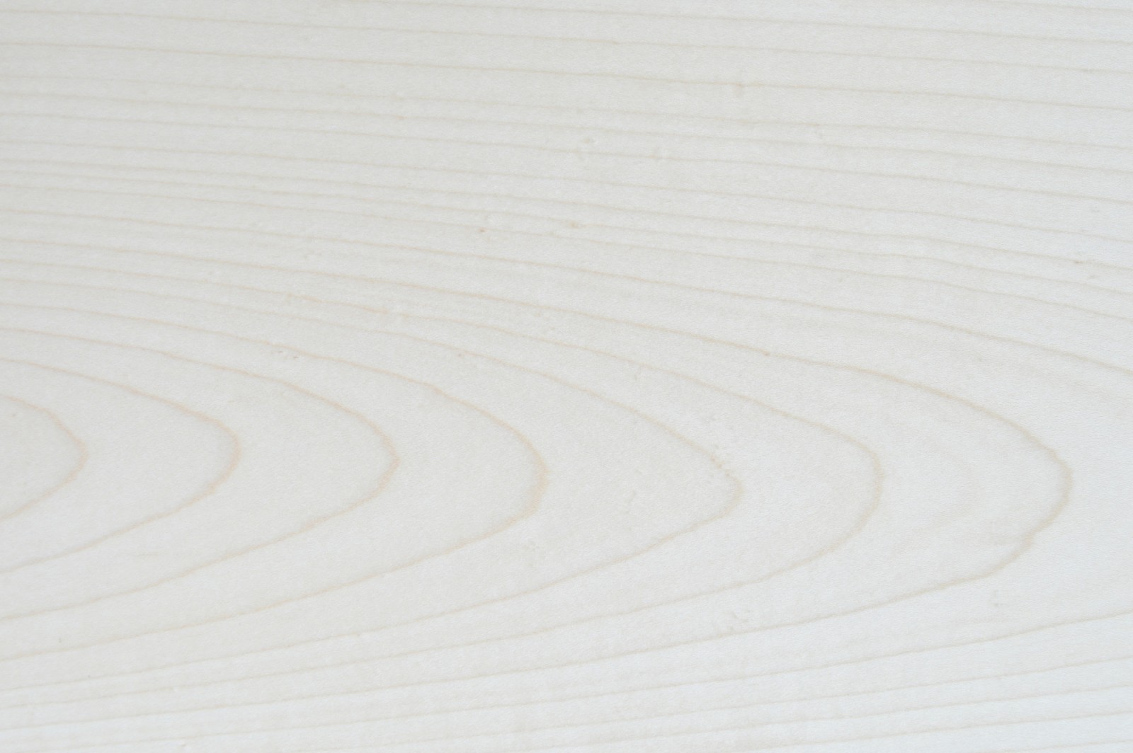 Sycamore Silk