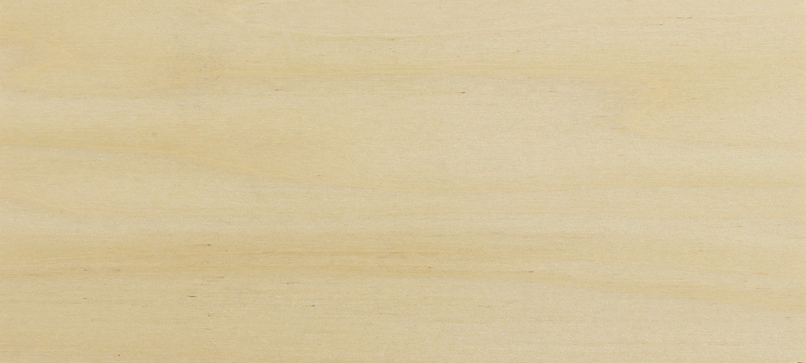 American Tulipwood
