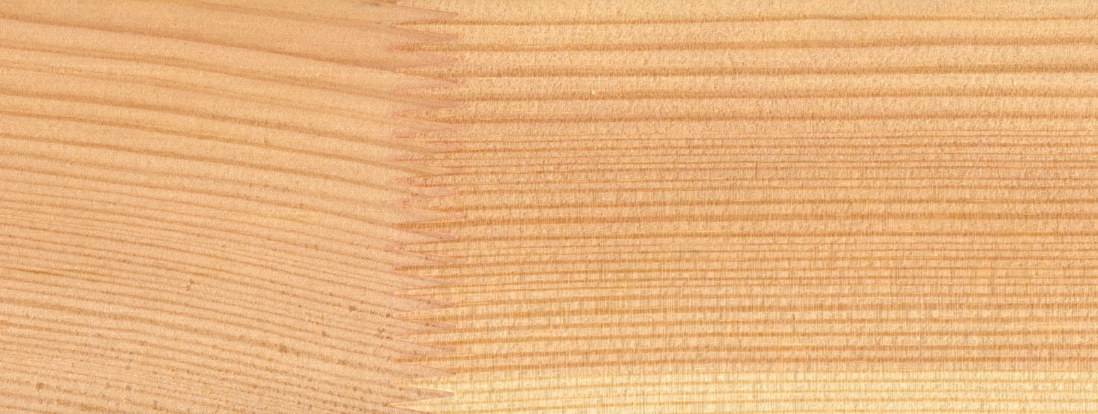 Engineered Softwood