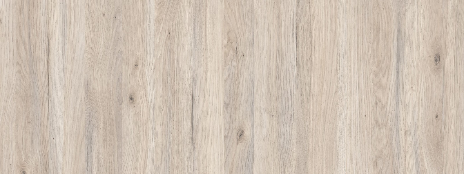 Maryland Oak