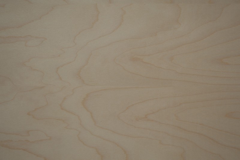 Birch Unfinished