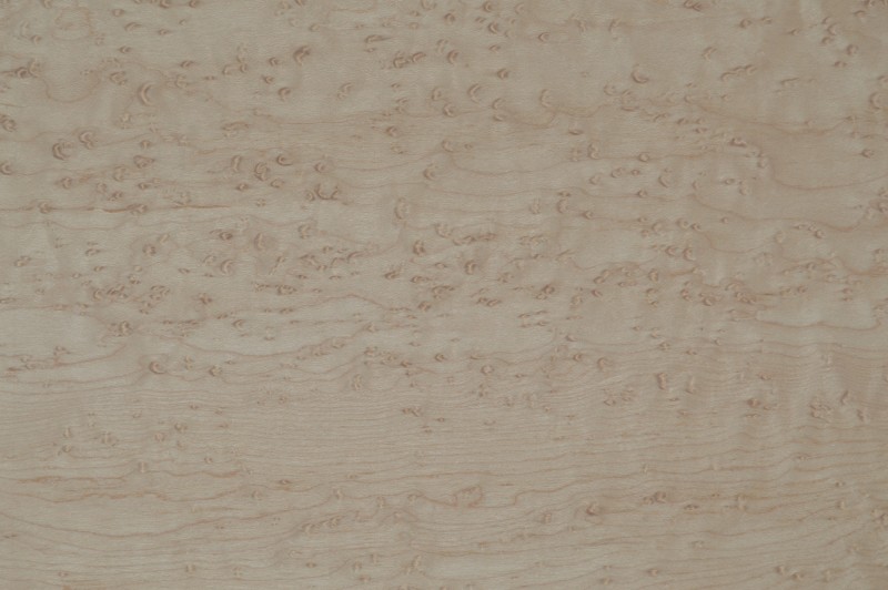 Birds Eye Maple Unfinished