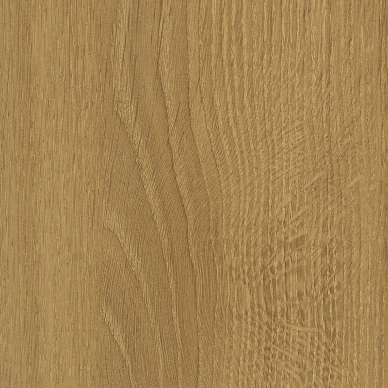 Lancashire Oak