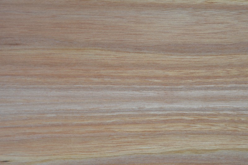 Red Elm Silk