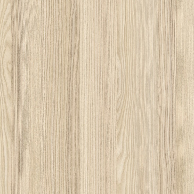 Acacia